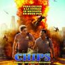 Imagini CHIPS