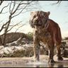 Imagini Cartea Junglei