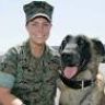 Imagini Megan Leavey