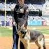 Imagini Megan Leavey