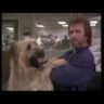 Imagini Top Dog