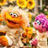 Imagini Sesame Street