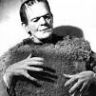 Imagini Fiul lui Frankenstein