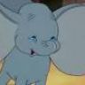 Imagini Dumbo