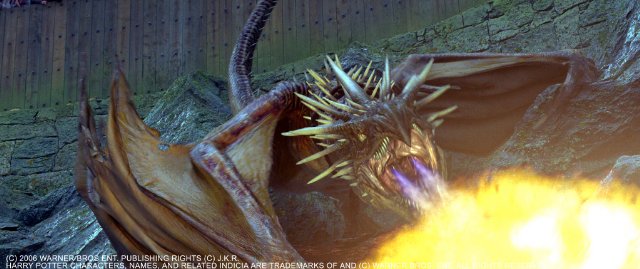 Harry Potter Si Pocalul De Foc