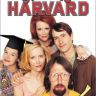 Imagini Jaf la Harvard