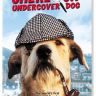 Imagini Sherlock: Undercover Dog