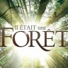 Imagini Il était une forêt