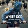 Imagini White God