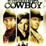 Imagini Nimic nu e prea bun pentru un cowboy