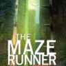 Imagini The Maze Runner