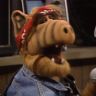 Imagini ALF