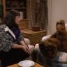 Imagini ALF
