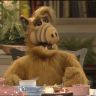 Imagini ALF