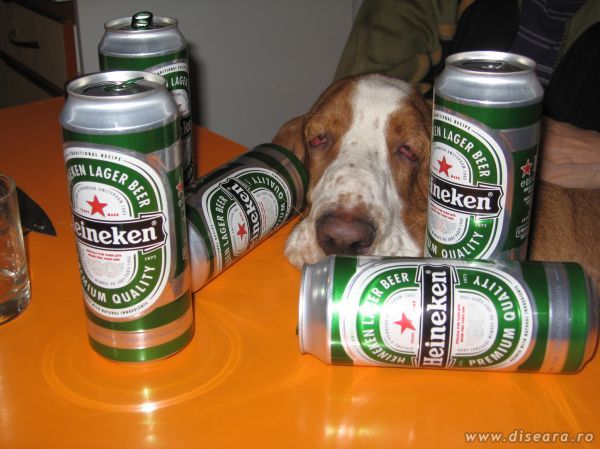 After a looooong night...