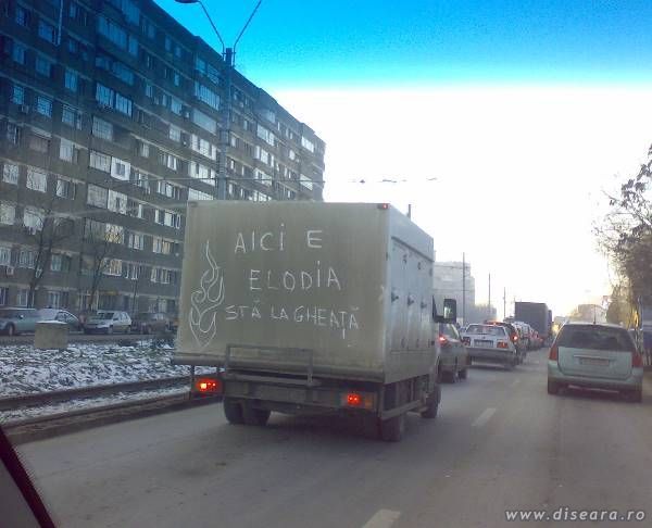 Am gasit-o pe Elodia !!!