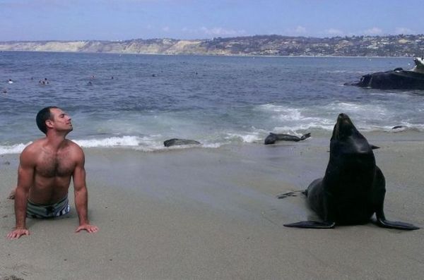 Push ups