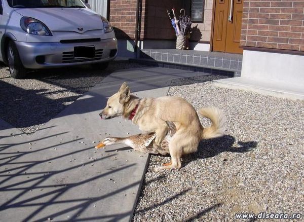 The effects of staying too much inside the house...