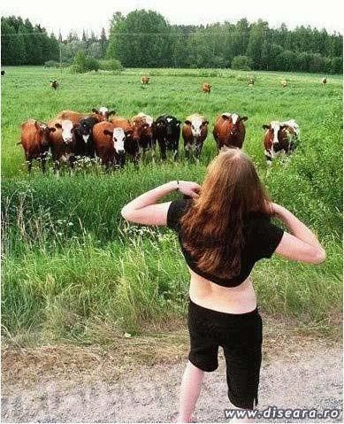 How you can find out the bull...