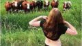 How you can find out the bull...