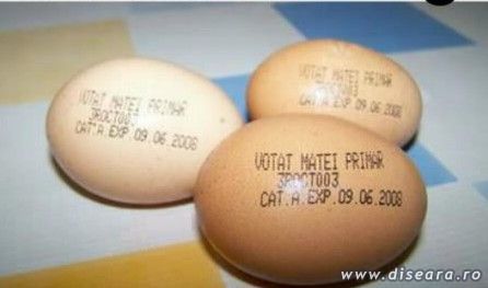 Eggs for elections
