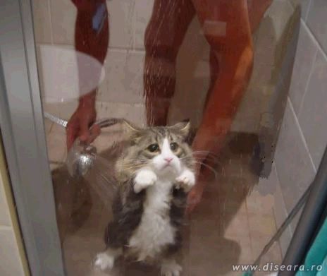 Let me go... please?