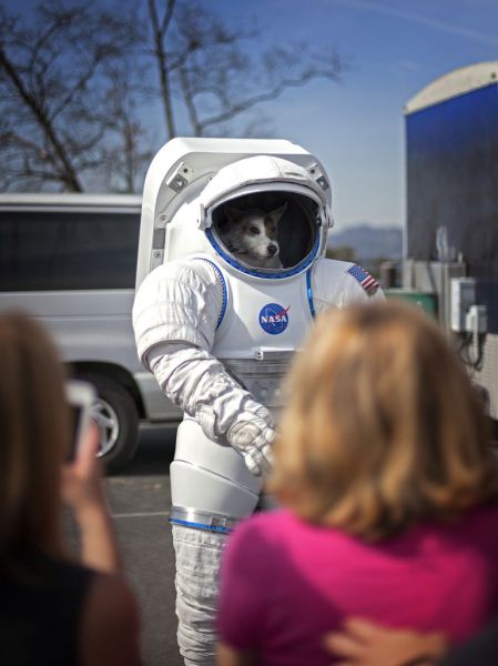 Astronaut