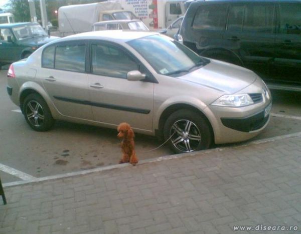Well... that is really a good anti-theft device !