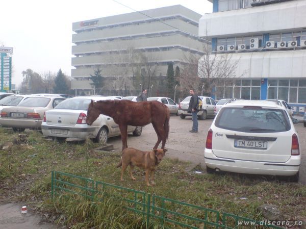 Universal parking