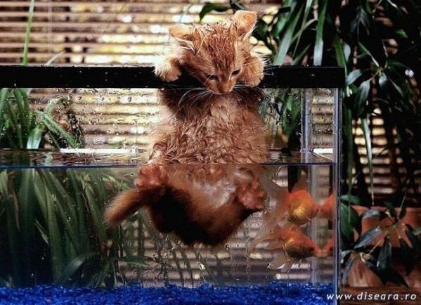 Oops... I did it again !