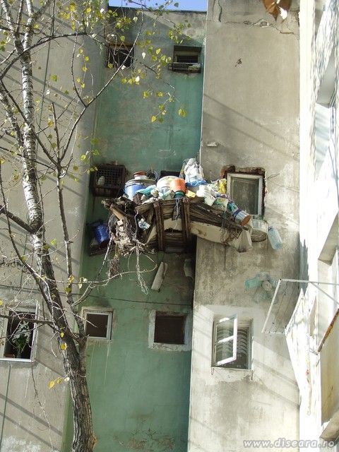 Ha ?! Ce-o fi asta ?! O fi gunoi ? Or fi provizii pentru iarna ? Poate era ghena de gunoi prea departe...