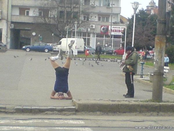 We live in Romania and this takes all our time...