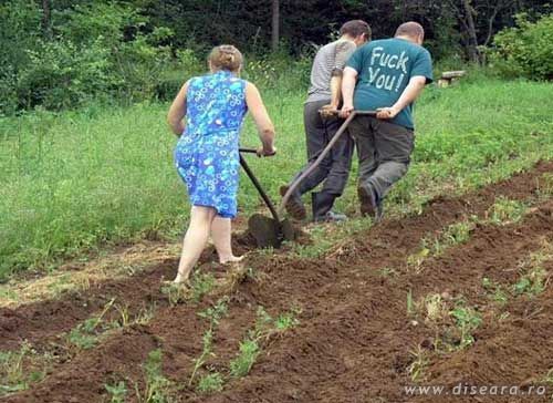 Munca de echipa. Dupa program se pot acorda si primele promise.