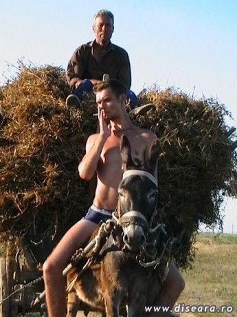 Romanian western