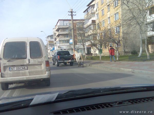 In vremuri de criza, o solutie de backup la combustibilul lichid ar fi calul... Pacat doar ca merge cam incet si nu canta manele...