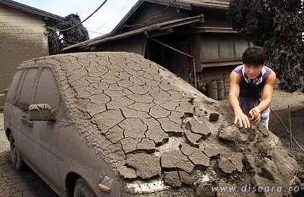 How many times a year do you wash your car ?