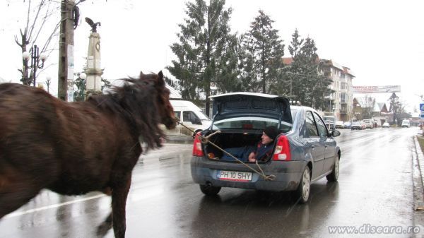 Uite, bai calule, ca te-am adus sa vezi si tu... pe-aici zbura Aurel Vlaicu !!!