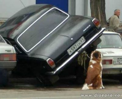Parked and with alarm on...