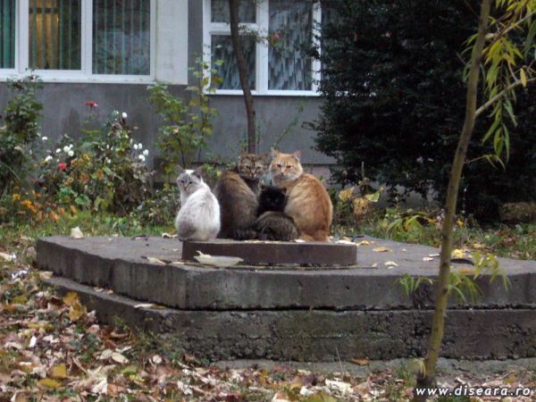 Neighborhood meeting