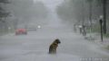 I begin to be very bored about so much rain !