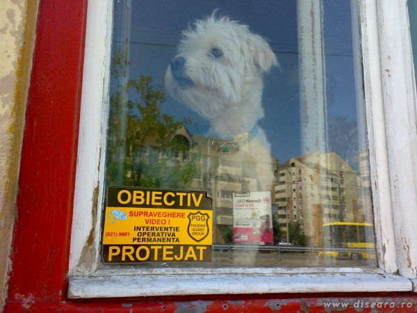 100% protection 