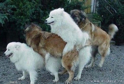 From left to right: Worker, Office Manager, Department Manager, General Manager