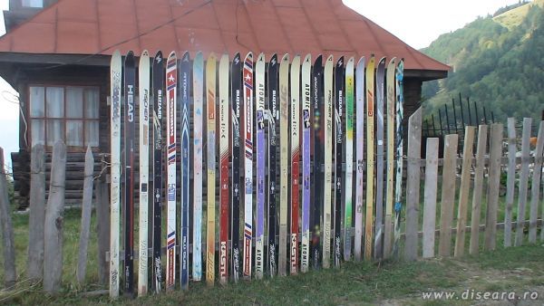 With these global warming, what can you do with these ?!