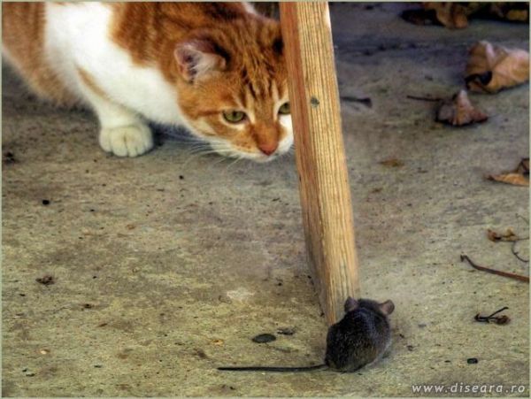 I think he doesn't see me...