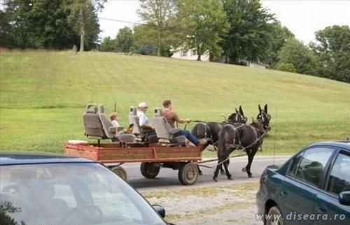 Bus with two horses power...