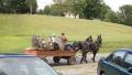 Bus with two horses power...