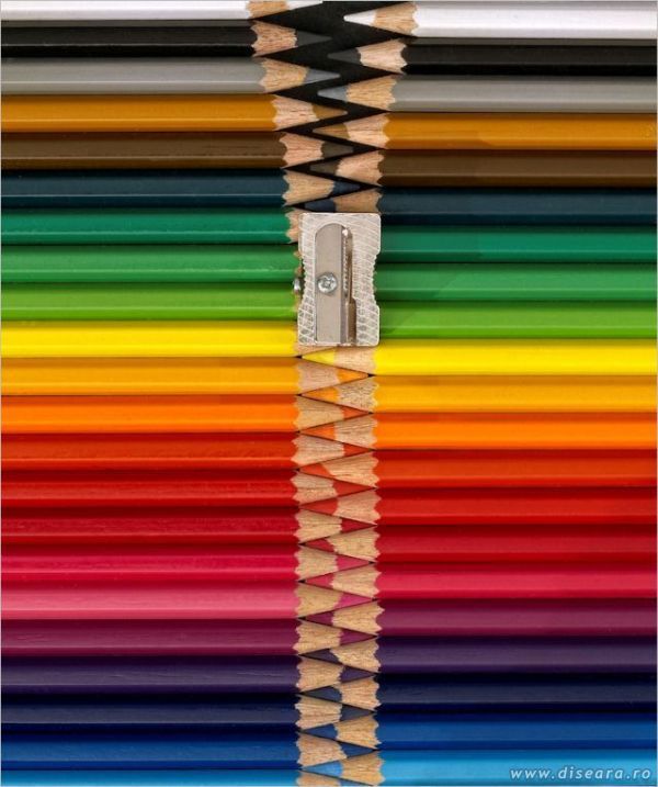 The zipper...