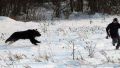 Who is with the bear ?