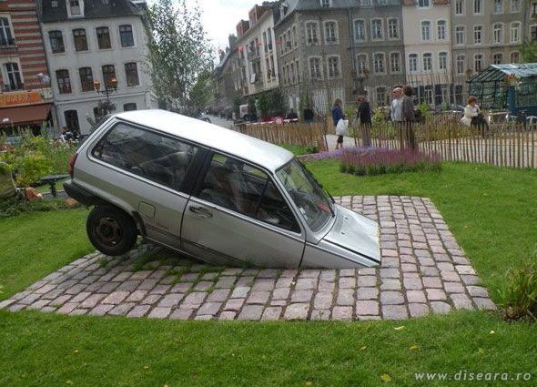 Hey, I told you not to climb on the man's car !