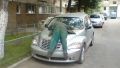 How sweet there is the sleep on the car !